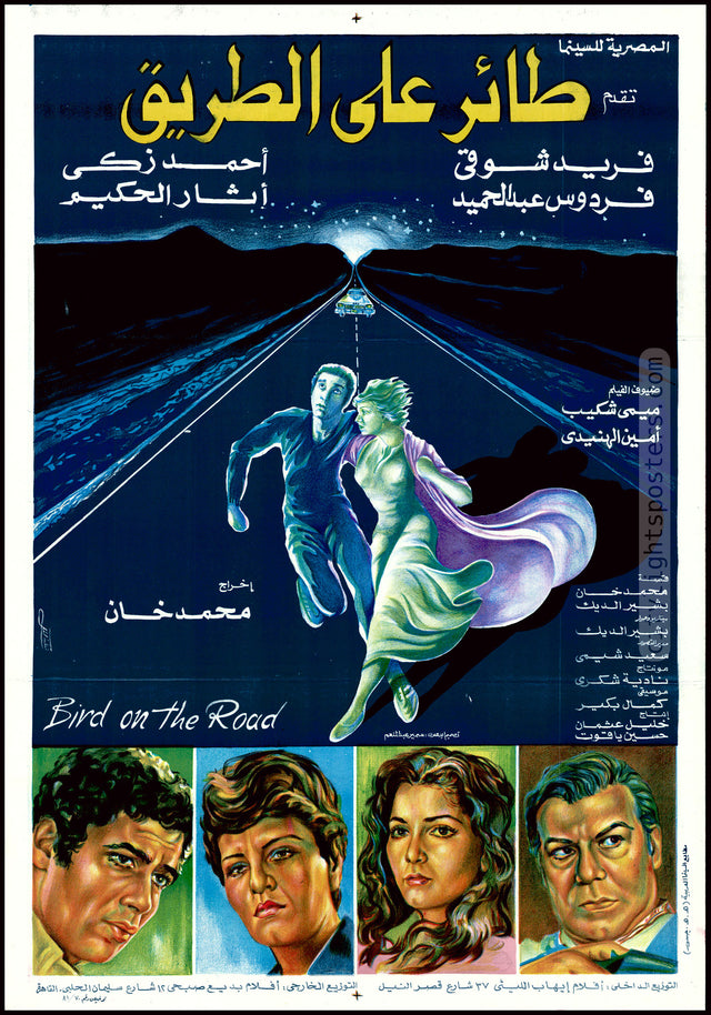 Bird on the Road - طائر على الطريق