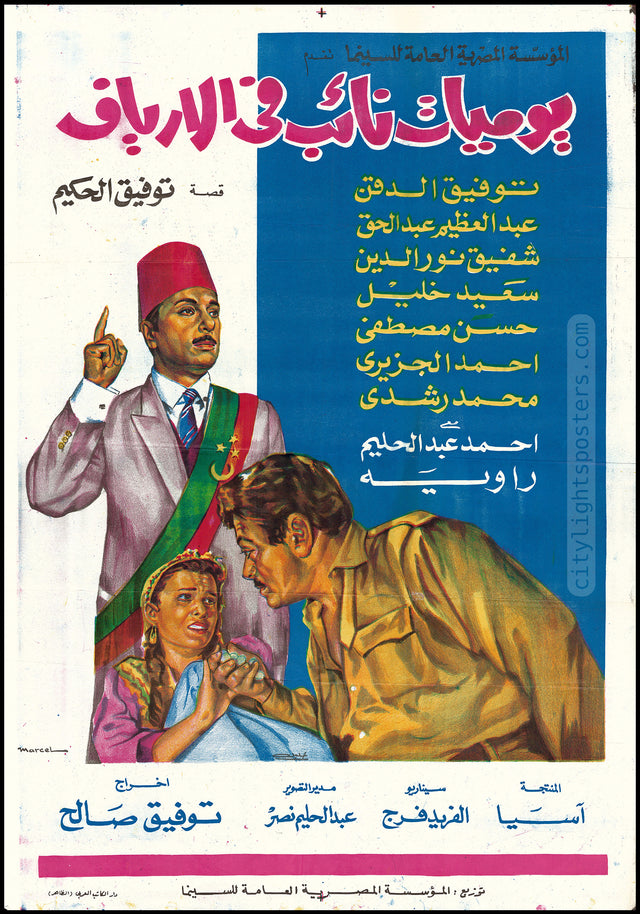 Diary of a Country Prosecutor - يوميات نائب في الأرياف