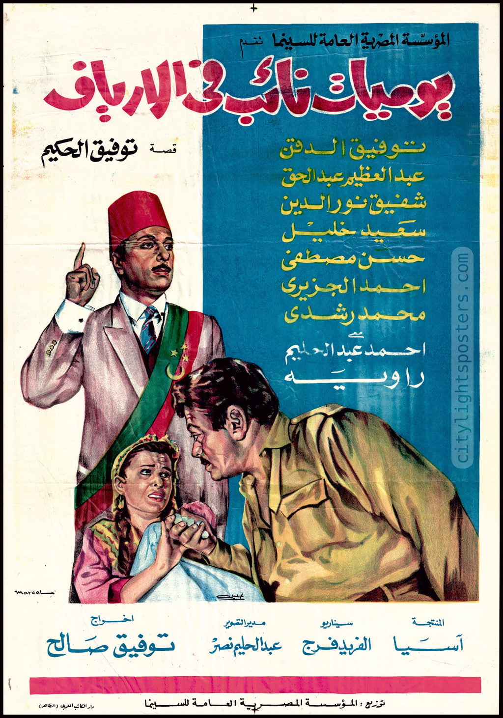 Diary of a Country Prosecutor - يوميات نائب في الأرياف